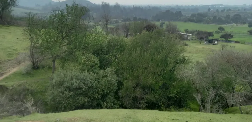 Vendo Campo en San Rafael,  V 1562-P-480-GR-06.24