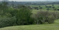 Vendo Campo en San Rafael,  V 1562-P-480-GR-06.24