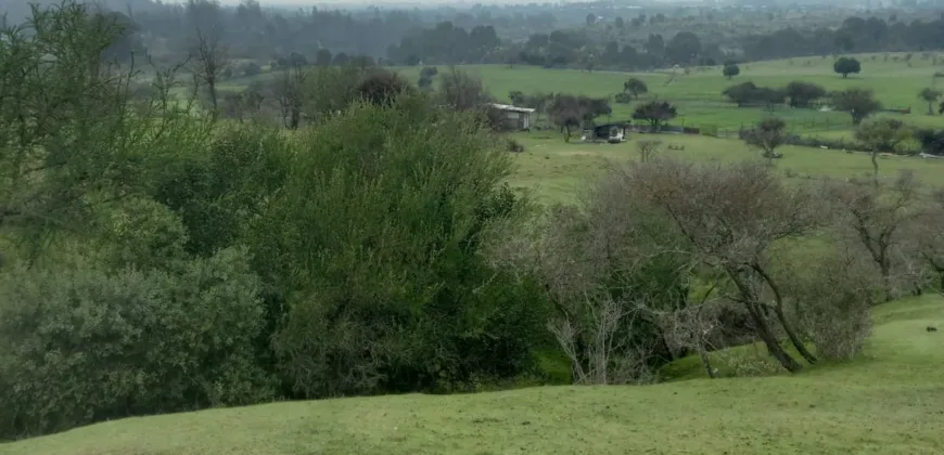 Vendo Campo en San Rafael,  V 1562-P-480-GR-06.24