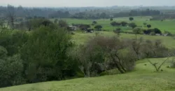 Vendo Campo en San Rafael,  V 1562-P-480-GR-06.24