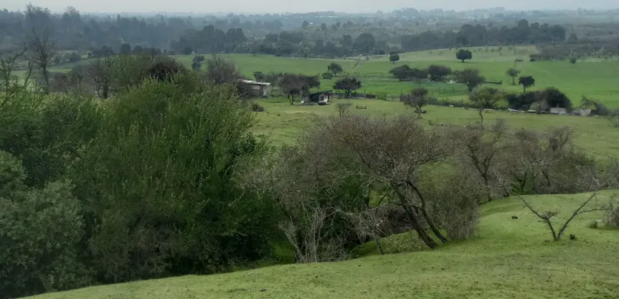 Vendo Campo en San Rafael,  V 1562-P-480-GR-06.24