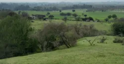 Vendo Campo en San Rafael,  V 1562-P-480-GR-06.24