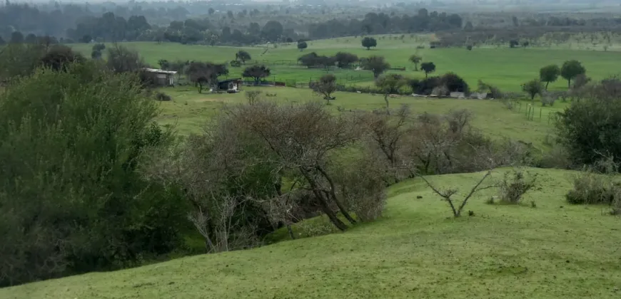 Vendo Campo en San Rafael,  V 1562-P-480-GR-06.24