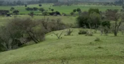 Vendo Campo en San Rafael,  V 1562-P-480-GR-06.24