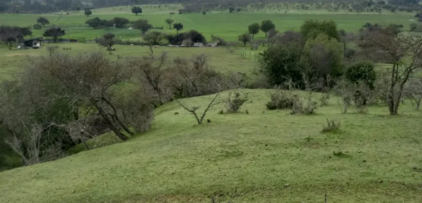 Vendo Campo en San Rafael,  V 1562-P-480-GR-06.24