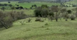 Vendo Campo en San Rafael,  V 1562-P-480-GR-06.24