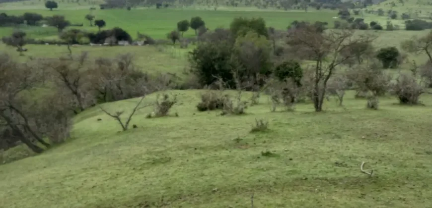 Vendo Campo en San Rafael,  V 1562-P-480-GR-06.24