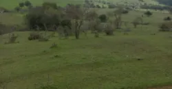 Vendo Campo en San Rafael,  V 1562-P-480-GR-06.24