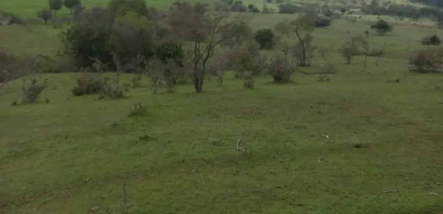 Vendo Campo en San Rafael,  V 1562-P-480-GR-06.24