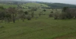 Vendo Campo en San Rafael,  V 1562-P-480-GR-06.24