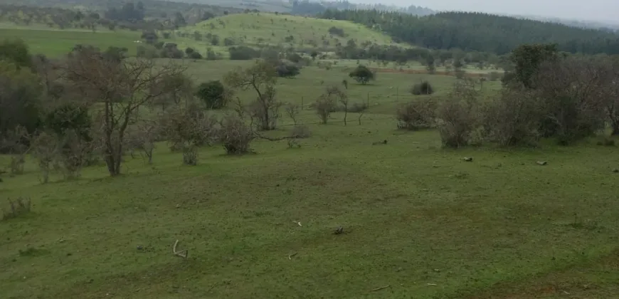 Vendo Campo en San Rafael,  V 1562-P-480-GR-06.24