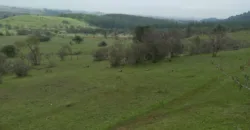 Vendo Campo en San Rafael,  V 1562-P-480-GR-06.24