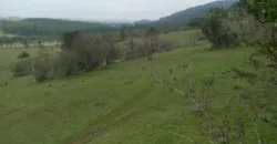 Vendo Campo en San Rafael,  V 1562-P-480-GR-06.24