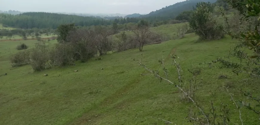 Vendo Campo en San Rafael,  V 1562-P-480-GR-06.24