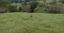 Vendo Campo en San Rafael,  V 1562-P-480-GR-06.24