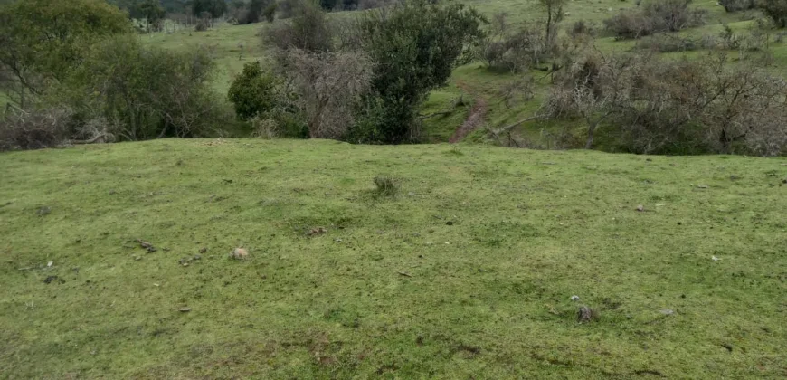 Vendo Campo en San Rafael,  V 1562-P-480-GR-06.24